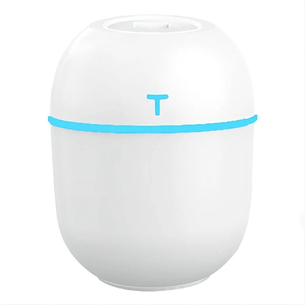 Egg Shaped Humidifier