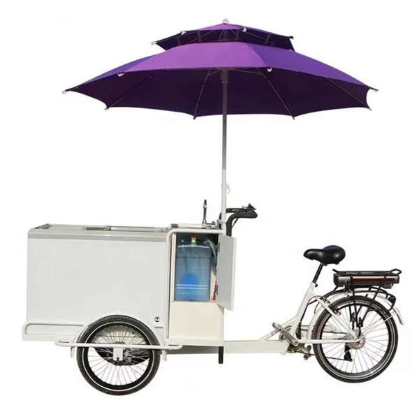 Electric Solar Ice Cream Bike Cart