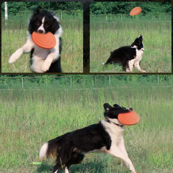 Pet Toy Rubber Flyer