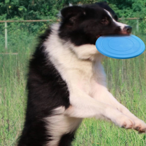 Pet Toy Rubber Flyer