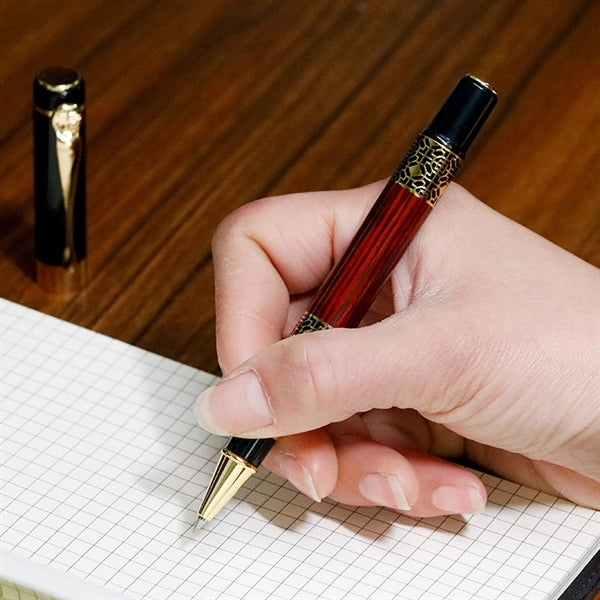 Ink Dual-purpose Fountain Pen