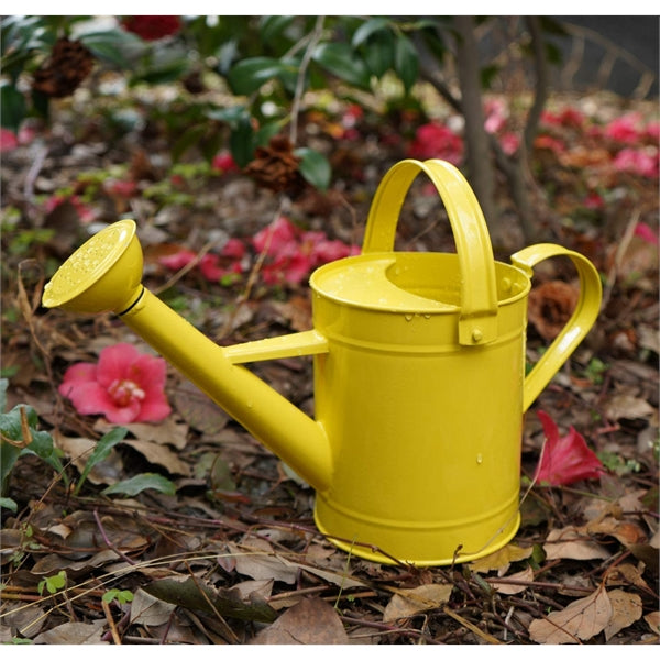 Metal watering cans