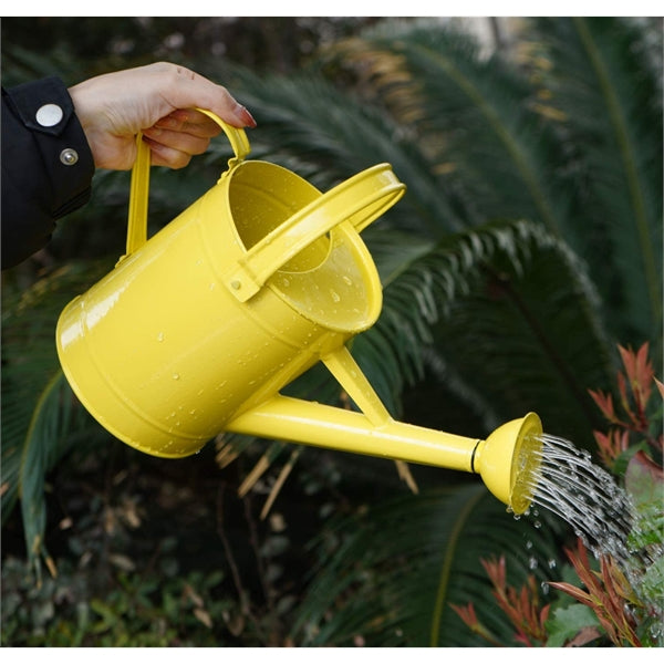 Metal watering cans