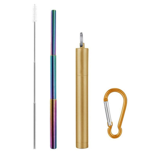 Telescopic Collapsible Stainless Steel Straw