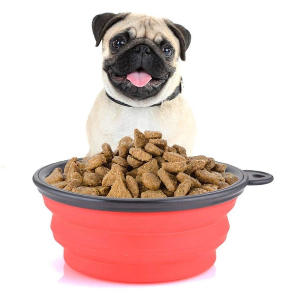 Collapsible Silicone Pet Bowl