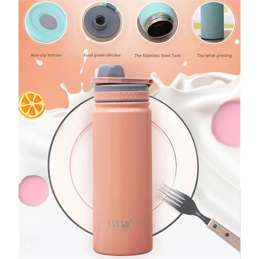 18 oz Stainless Steel Insulated Water Bottle with Lid