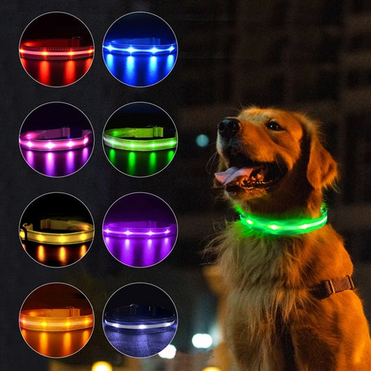 LED Light Up Dog Leash