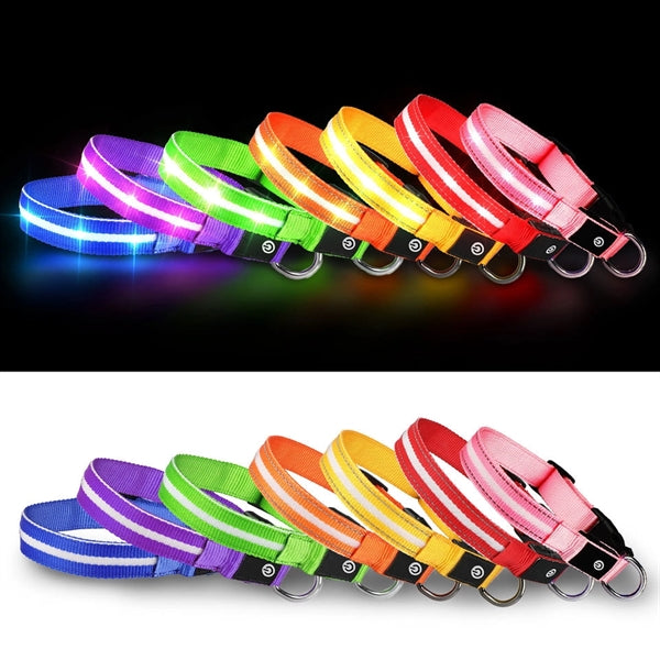 LED Light Up Dog Leash