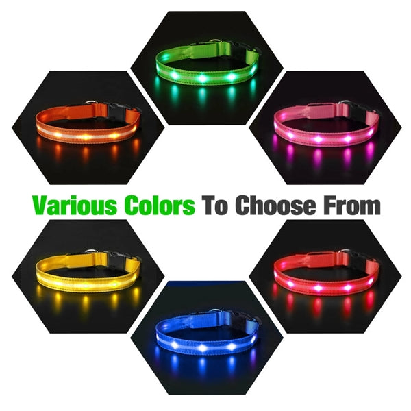 LED Light Up Dog Leash