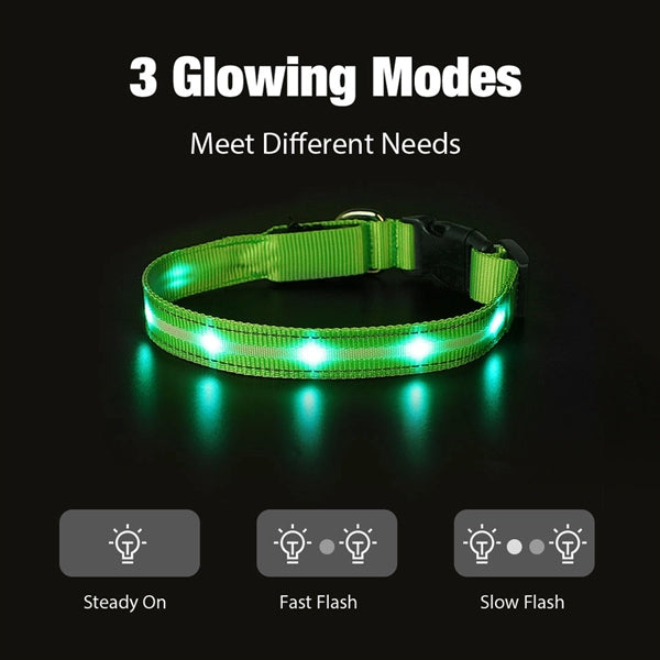 LED Light Up Dog Leash