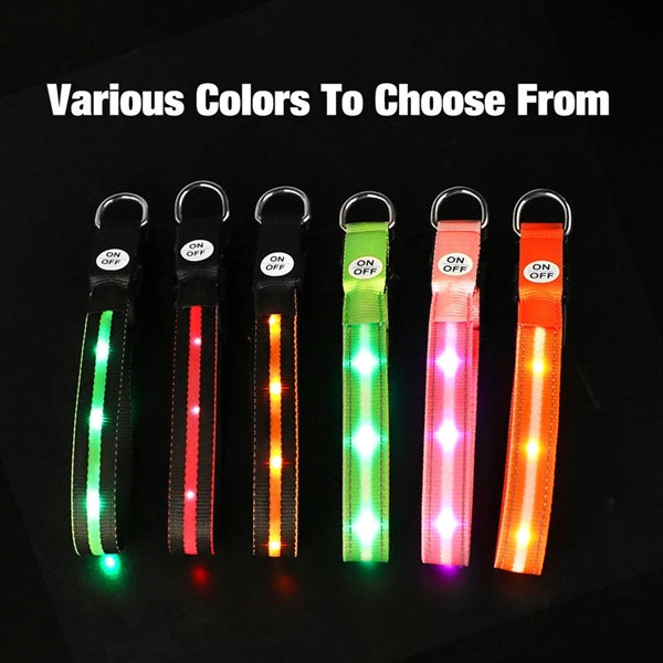 LED Light Up Dog Leash