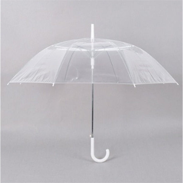 Transparent umbrella