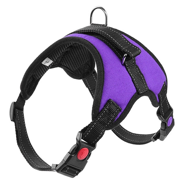 Adjustable Dog Safety Harness
