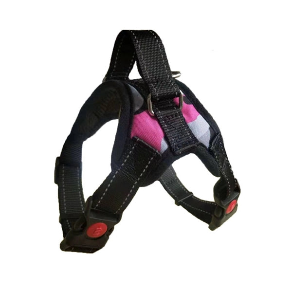 Adjustable Dog Safety Harness