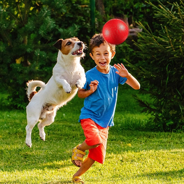 8.5 inch Dodgeball Playground Ball Kickball for Kids Adults
