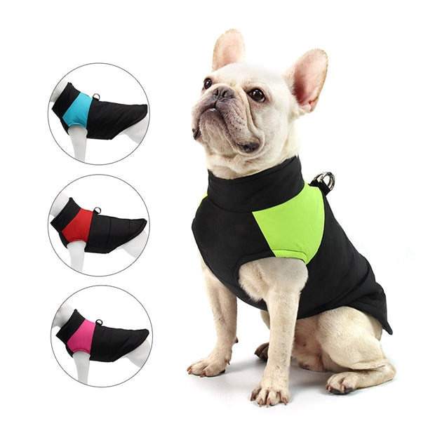 Winter Dog Clothes