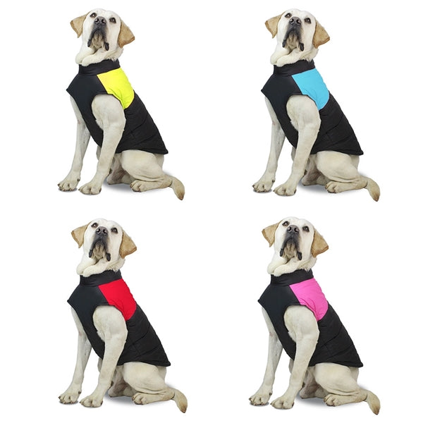 Winter Dog Clothes