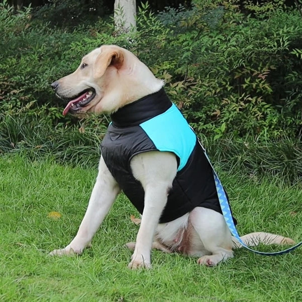 Winter Dog Clothes