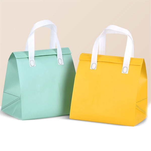 Non-Woven Fabric Aluminum Foil Insulation Bag