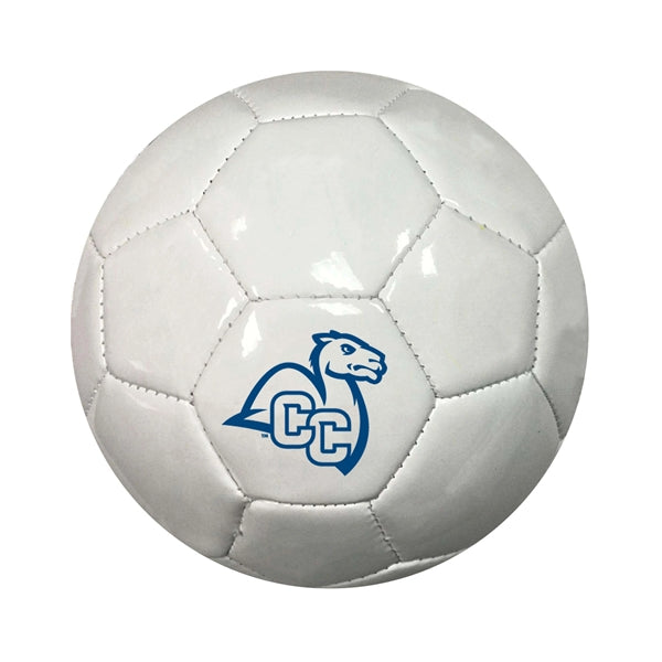 18" Custom Soccer Ball