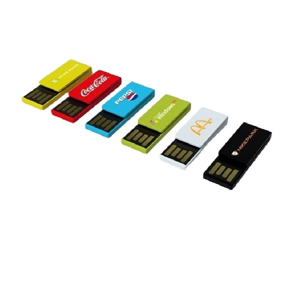 2 IN 1 Clips W/ USB Flash Drive - 8GB