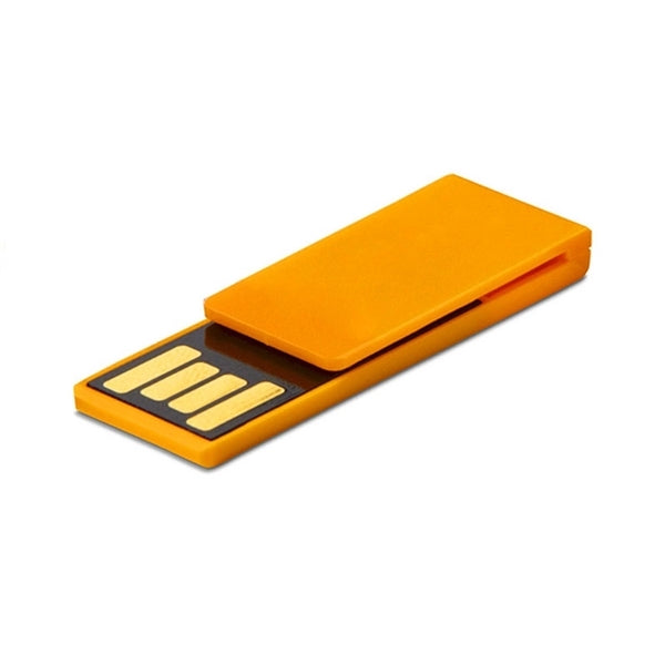 2 IN 1 Clips W/ USB Flash Drive - 8GB