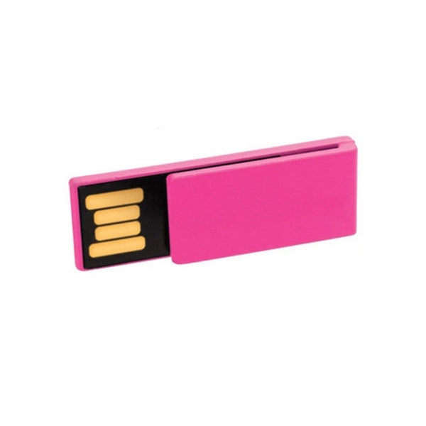 2 IN 1 Clips W/ USB Flash Drive - 8GB