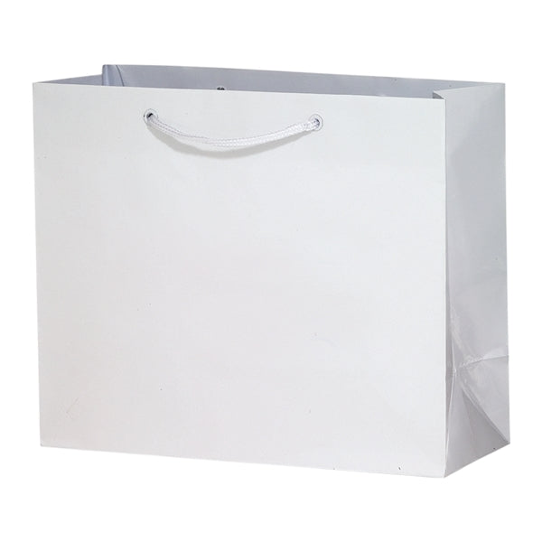 2-Bottle Luxury Laminated Paper Horizontal Tote