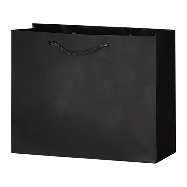 2-Bottle Luxury Laminated Paper Horizontal Tote