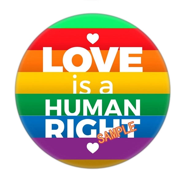 Rainbow Gay Color Pride Flag Pin Button