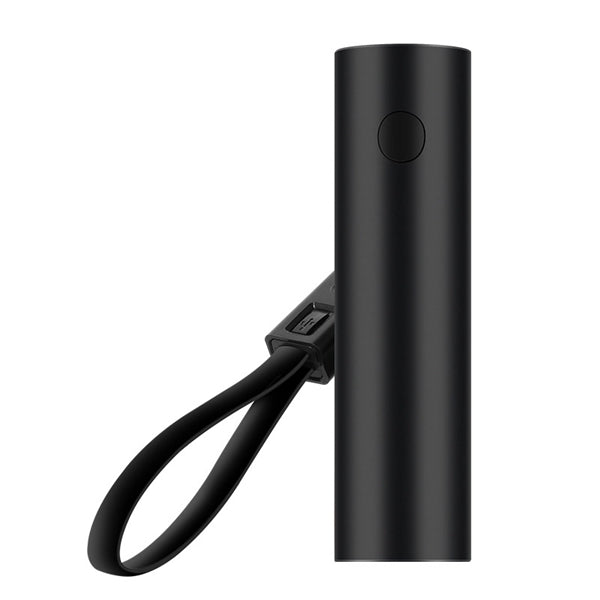Mini Power Banks Lanyard with Torch Flashlight for Cellphone