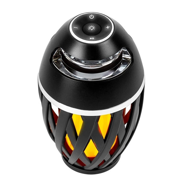 Outdoor Wireless Speakers