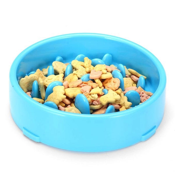 Slow Feeder Dog Bowl