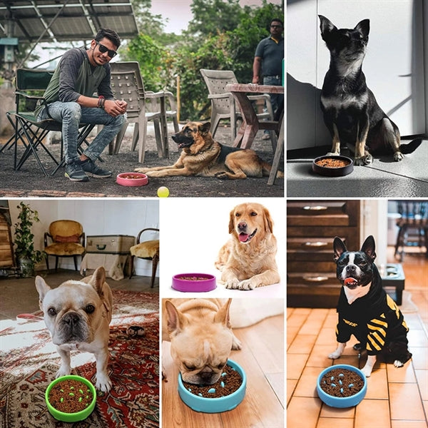 Slow Feeder Dog Bowl