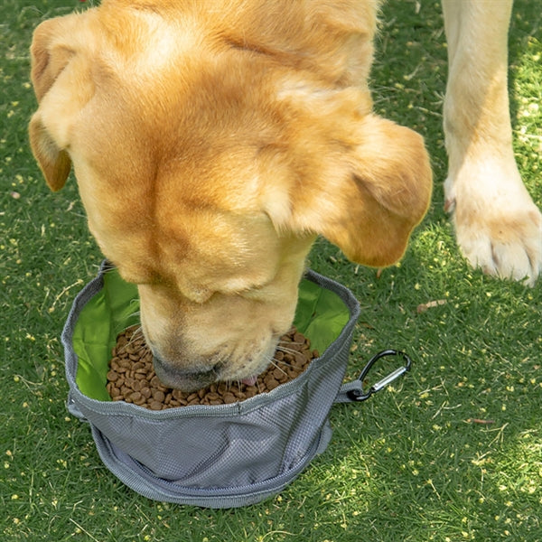 Portable Outdoor Collapsible Dog Bowls