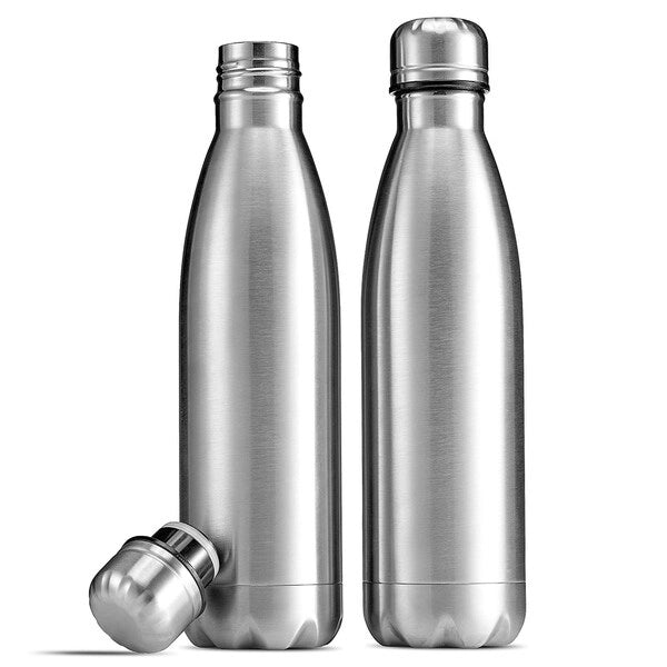 Double-Wall Stainless Steel Sports Bottle-17 oz.