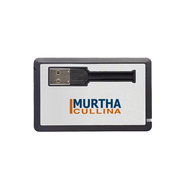 Wenmoth Pull Out USB Card