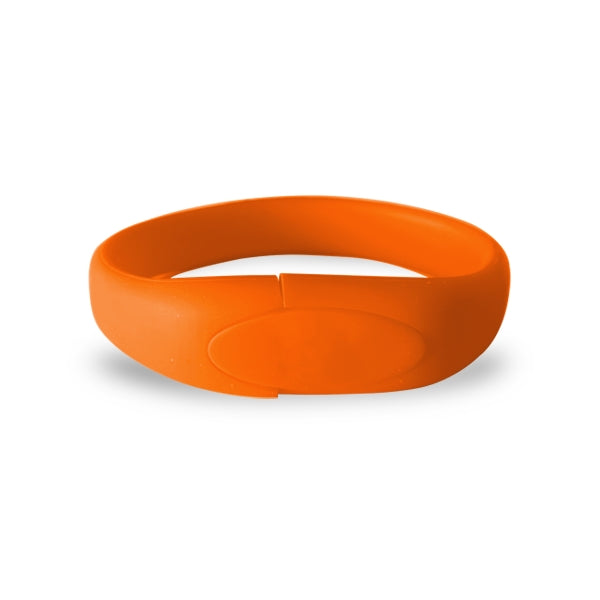 Warrenville Silicon Wristband USB Flash Drive