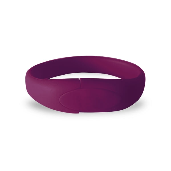 Warrenville Silicon Wristband USB Flash Drive