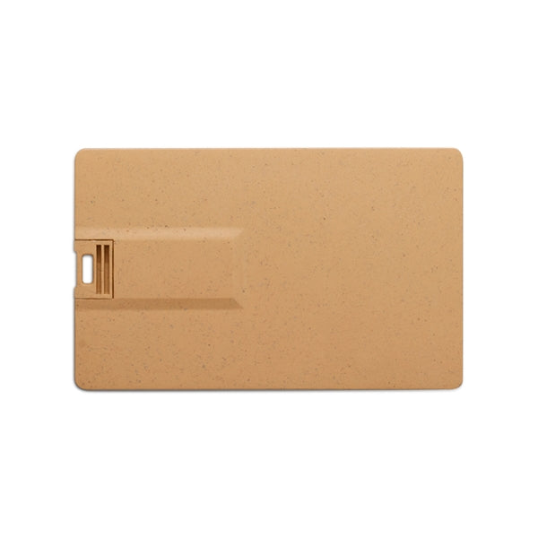 Broadview Eco-Friendly Card USB