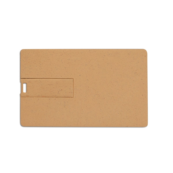 Broadview Eco-Friendly Card USB