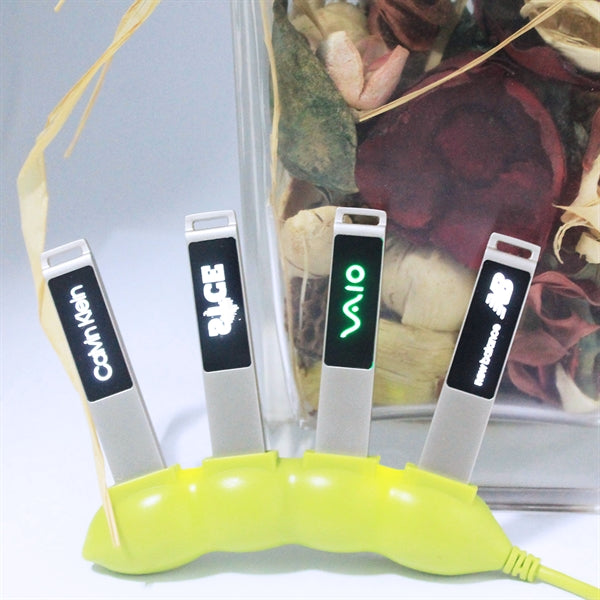 Buena Park Light-Up USB Flash Drive