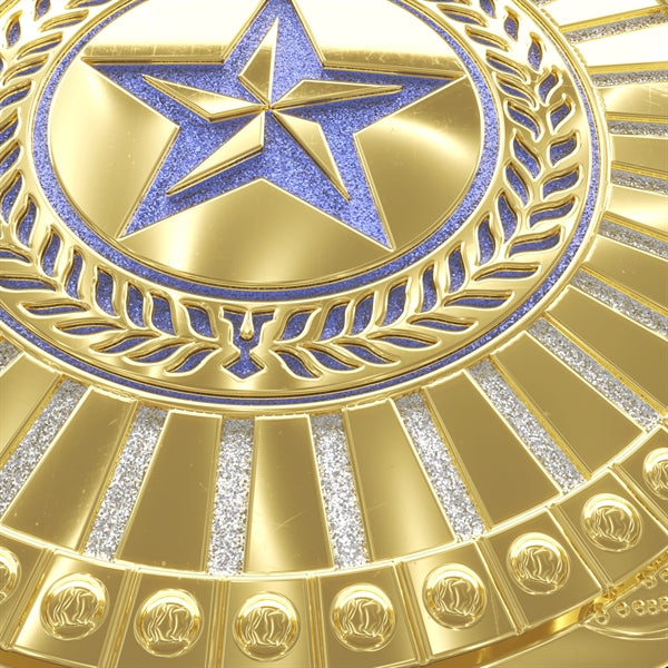 Express Lightweight Championship Belt - Center & Side Plates