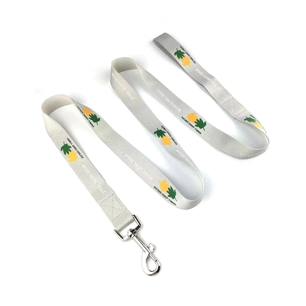 1"Wx72"L Polyester Durable Pet Leash w/ Metal Carabiner