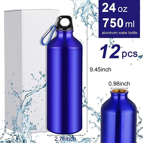 25 Oz. Aluminum Sport Bottle