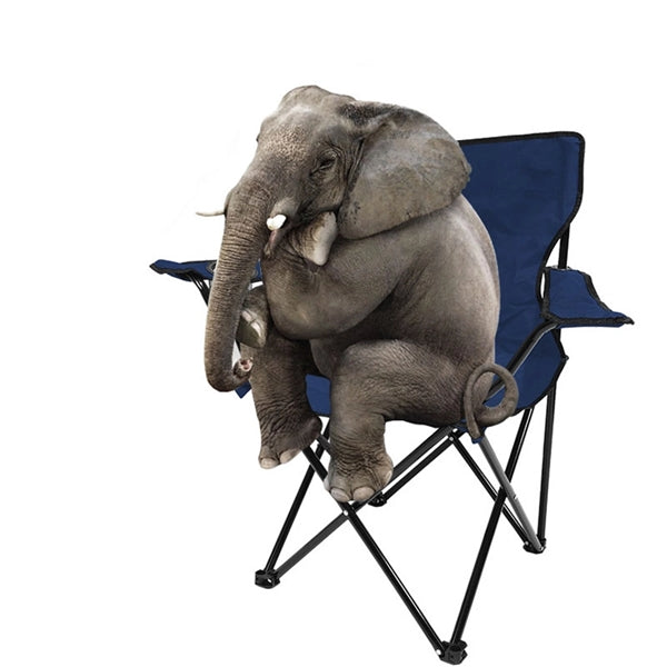 Outdoor Folding Chair With Carrying Bag