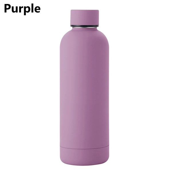 17Oz Stainless Steel Water Bottle