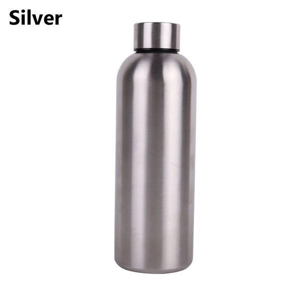 17Oz Stainless Steel Water Bottle