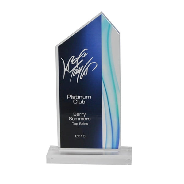 Customize Oval Acrylic Paperweight