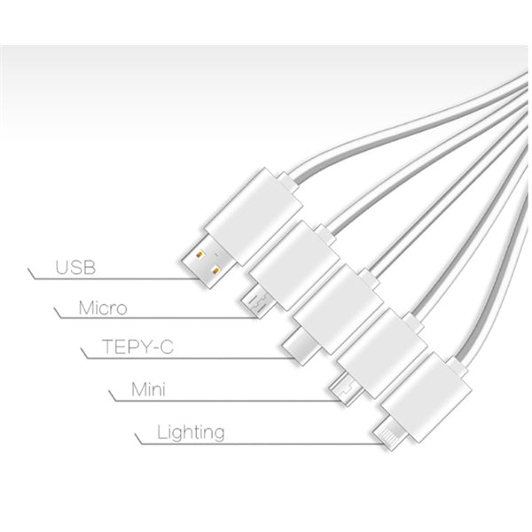 New Five-in-one Illuminated Keychain Charging Cable